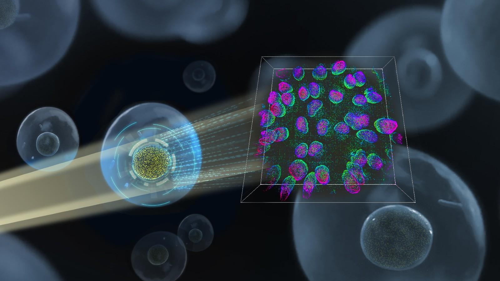 科学研究-西安交通大学新闻网